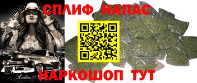 мяу мяу мука Беслан