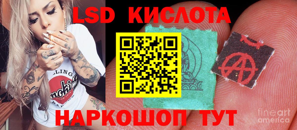 A-PVP Реутов