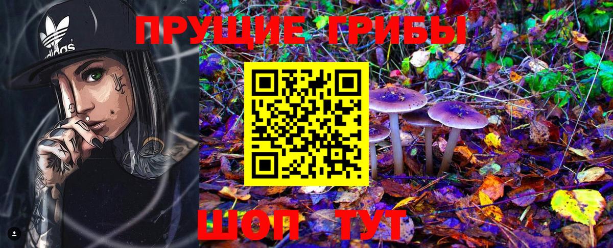 Реутов  Псилоцибиновые грибы мицелий  Вход с VPN 