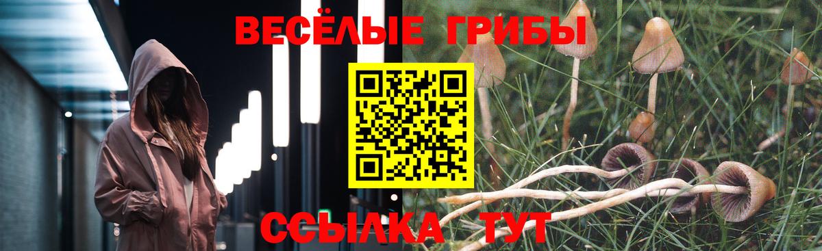 Псилоцибиновые грибы ЛСД Реутов