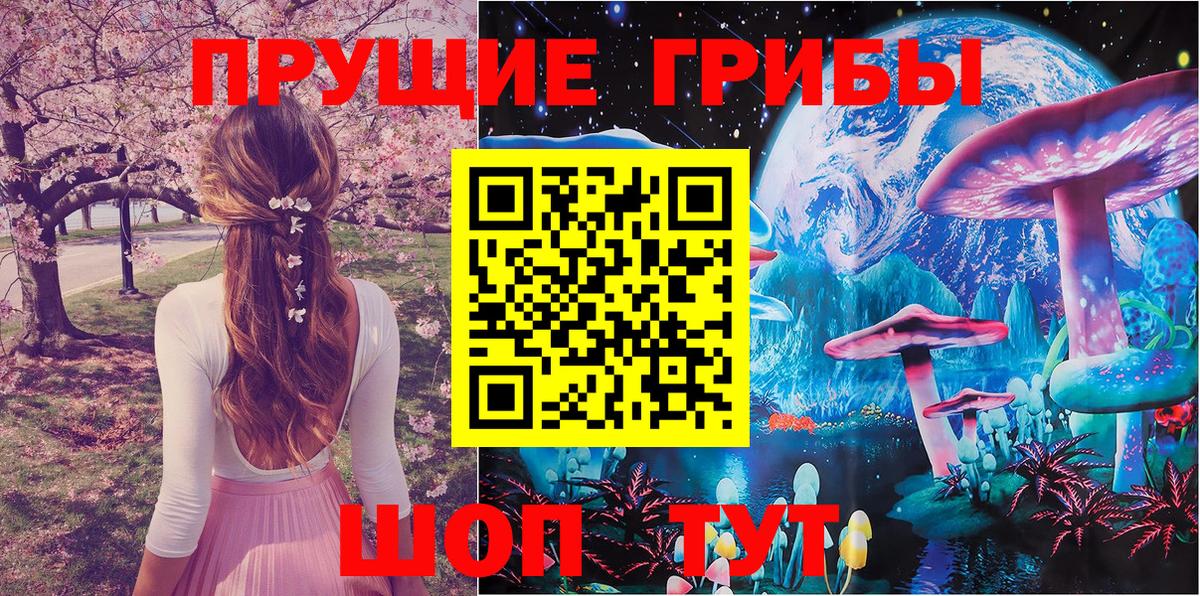 Псилоцибиновые грибы GOLDEN TEACHER  Псилоцибиновые грибы Psilocybe  Реутов 